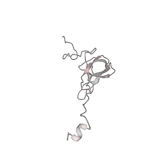 25405_7ss9_Q_v1-0
Late translocation intermediate with EF-G partially dissociated (Structure V)