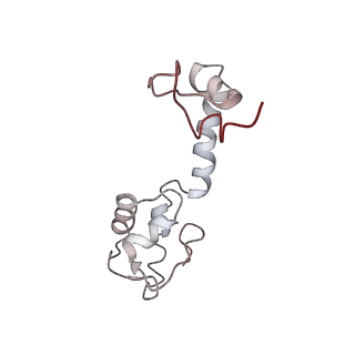25405_7ss9_R_v1-0
Late translocation intermediate with EF-G partially dissociated (Structure V)