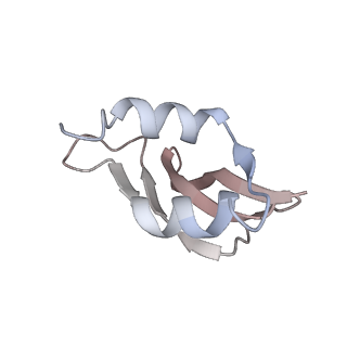 25405_7ss9_U_v1-0
Late translocation intermediate with EF-G partially dissociated (Structure V)