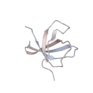25405_7ss9_V_v1-0
Late translocation intermediate with EF-G partially dissociated (Structure V)