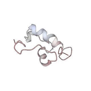 25405_7ss9_W_v1-0
Late translocation intermediate with EF-G partially dissociated (Structure V)