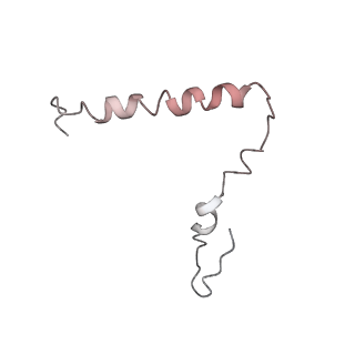 25405_7ss9_Z_v1-0
Late translocation intermediate with EF-G partially dissociated (Structure V)