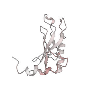 25405_7ss9_a_v1-0
Late translocation intermediate with EF-G partially dissociated (Structure V)