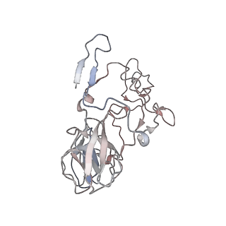 25405_7ss9_b_v1-0
Late translocation intermediate with EF-G partially dissociated (Structure V)