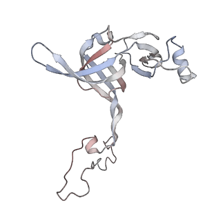 25405_7ss9_c_v1-0
Late translocation intermediate with EF-G partially dissociated (Structure V)