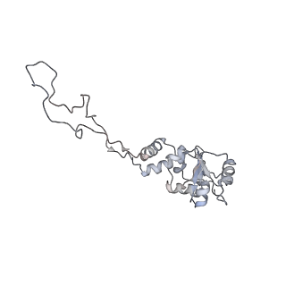 25405_7ss9_d_v1-0
Late translocation intermediate with EF-G partially dissociated (Structure V)