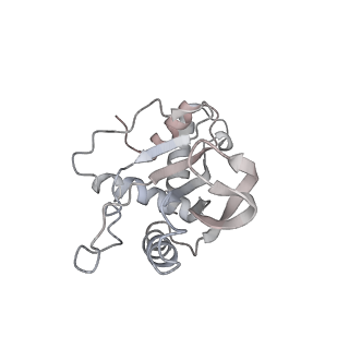 25405_7ss9_e_v1-0
Late translocation intermediate with EF-G partially dissociated (Structure V)