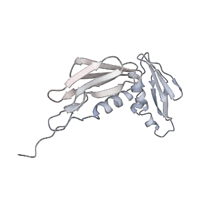25405_7ss9_f_v1-0
Late translocation intermediate with EF-G partially dissociated (Structure V)