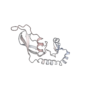 25405_7ss9_g_v1-0
Late translocation intermediate with EF-G partially dissociated (Structure V)