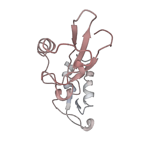 25405_7ss9_i_v1-0
Late translocation intermediate with EF-G partially dissociated (Structure V)