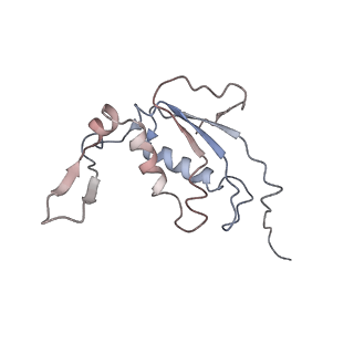 25405_7ss9_j_v1-0
Late translocation intermediate with EF-G partially dissociated (Structure V)