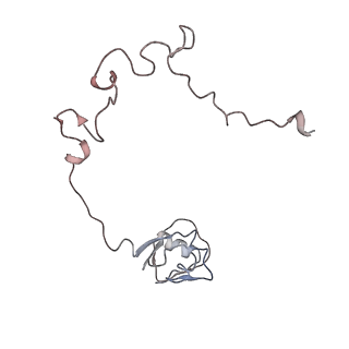 25405_7ss9_l_v1-0
Late translocation intermediate with EF-G partially dissociated (Structure V)