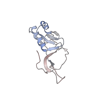 25405_7ss9_m_v1-0
Late translocation intermediate with EF-G partially dissociated (Structure V)