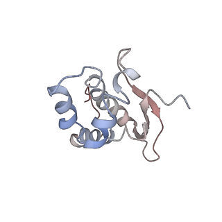 25405_7ss9_n_v1-0
Late translocation intermediate with EF-G partially dissociated (Structure V)
