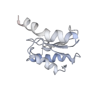 25405_7ss9_o_v1-0
Late translocation intermediate with EF-G partially dissociated (Structure V)