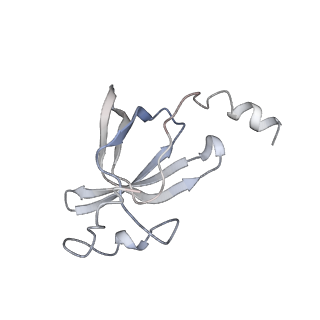 25405_7ss9_p_v1-0
Late translocation intermediate with EF-G partially dissociated (Structure V)