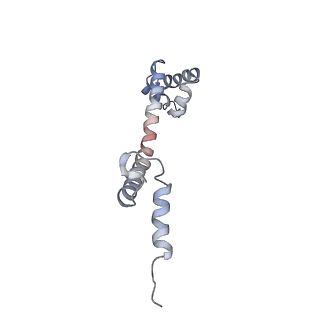 25405_7ss9_q_v1-0
Late translocation intermediate with EF-G partially dissociated (Structure V)