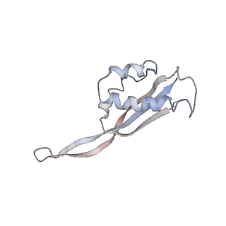 25405_7ss9_s_v1-0
Late translocation intermediate with EF-G partially dissociated (Structure V)