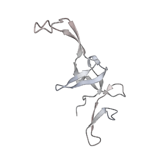 25405_7ss9_u_v1-0
Late translocation intermediate with EF-G partially dissociated (Structure V)