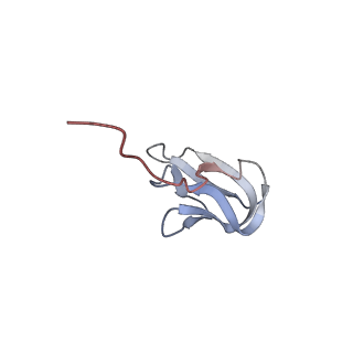 25405_7ss9_w_v1-0
Late translocation intermediate with EF-G partially dissociated (Structure V)