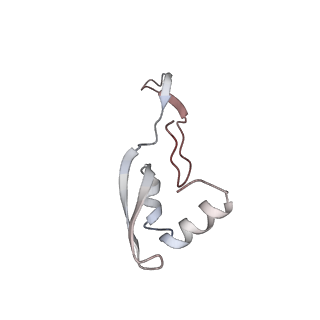 25405_7ss9_x_v1-0
Late translocation intermediate with EF-G partially dissociated (Structure V)