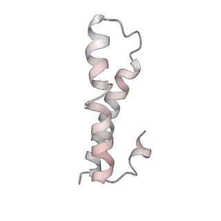 25405_7ss9_y_v1-0
Late translocation intermediate with EF-G partially dissociated (Structure V)