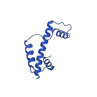25406_7ssa_A_v1-2
Cryo-EM structure of pioneer factor Cbf1 bound to the nucleosome
