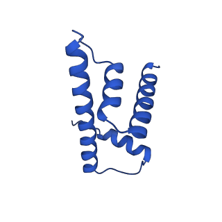 25406_7ssa_D_v1-2
Cryo-EM structure of pioneer factor Cbf1 bound to the nucleosome