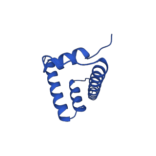 25406_7ssa_H_v1-2
Cryo-EM structure of pioneer factor Cbf1 bound to the nucleosome
