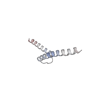 25406_7ssa_L_v1-2
Cryo-EM structure of pioneer factor Cbf1 bound to the nucleosome