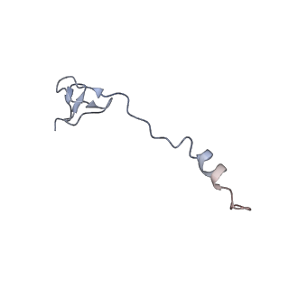 25410_7ssn_B_v1-0
Pre translocation 70S ribosome with A/P* and P/E tRNA (Structure II-B)
