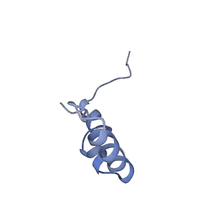 25410_7ssn_D_v1-0
Pre translocation 70S ribosome with A/P* and P/E tRNA (Structure II-B)