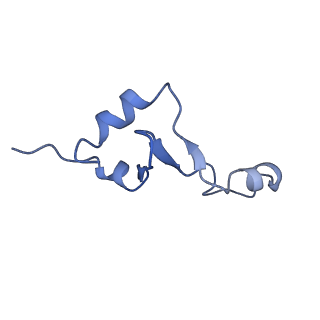 25410_7ssn_E_v1-0
Pre translocation 70S ribosome with A/P* and P/E tRNA (Structure II-B)