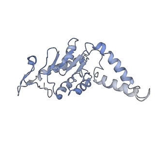 25410_7ssn_G_v1-0
Pre translocation 70S ribosome with A/P* and P/E tRNA (Structure II-B)