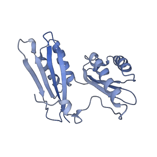 25410_7ssn_H_v1-0
Pre translocation 70S ribosome with A/P* and P/E tRNA (Structure II-B)