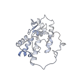 25410_7ssn_I_v1-0
Pre translocation 70S ribosome with A/P* and P/E tRNA (Structure II-B)