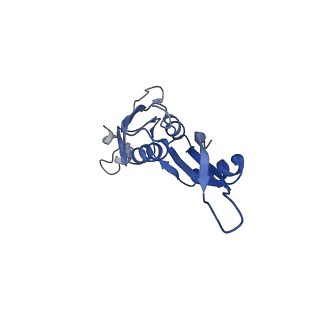 25410_7ssn_J_v1-0
Pre translocation 70S ribosome with A/P* and P/E tRNA (Structure II-B)