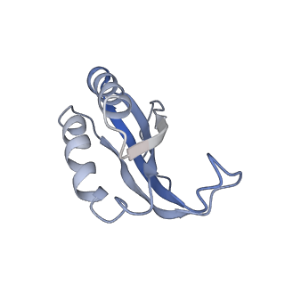 25410_7ssn_K_v1-0
Pre translocation 70S ribosome with A/P* and P/E tRNA (Structure II-B)