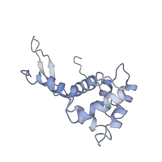 25410_7ssn_L_v1-0
Pre translocation 70S ribosome with A/P* and P/E tRNA (Structure II-B)