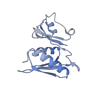 25410_7ssn_M_v1-0
Pre translocation 70S ribosome with A/P* and P/E tRNA (Structure II-B)