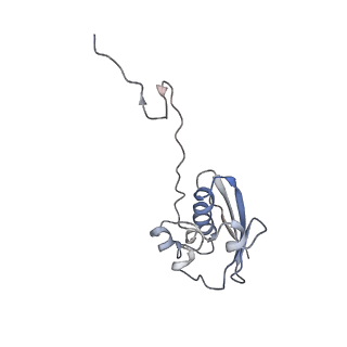 25410_7ssn_N_v1-0
Pre translocation 70S ribosome with A/P* and P/E tRNA (Structure II-B)