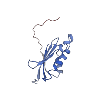 25410_7ssn_P_v1-0
Pre translocation 70S ribosome with A/P* and P/E tRNA (Structure II-B)