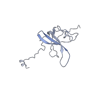 25410_7ssn_Q_v1-0
Pre translocation 70S ribosome with A/P* and P/E tRNA (Structure II-B)