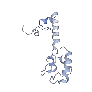 25410_7ssn_R_v1-0
Pre translocation 70S ribosome with A/P* and P/E tRNA (Structure II-B)