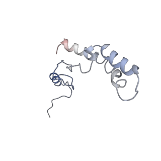 25410_7ssn_S_v1-0
Pre translocation 70S ribosome with A/P* and P/E tRNA (Structure II-B)