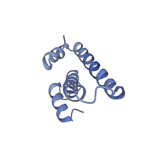 25410_7ssn_T_v1-0
Pre translocation 70S ribosome with A/P* and P/E tRNA (Structure II-B)
