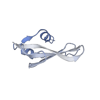 25410_7ssn_U_v1-0
Pre translocation 70S ribosome with A/P* and P/E tRNA (Structure II-B)