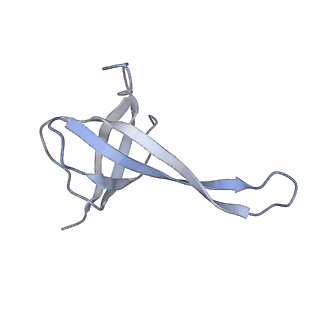 25410_7ssn_V_v1-0
Pre translocation 70S ribosome with A/P* and P/E tRNA (Structure II-B)