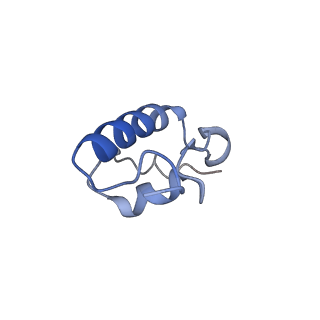 25410_7ssn_W_v1-0
Pre translocation 70S ribosome with A/P* and P/E tRNA (Structure II-B)