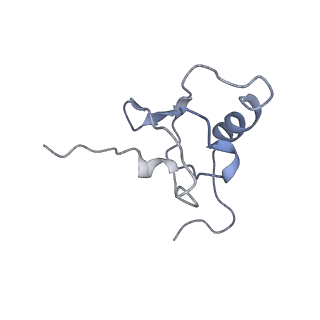 25410_7ssn_X_v1-0
Pre translocation 70S ribosome with A/P* and P/E tRNA (Structure II-B)